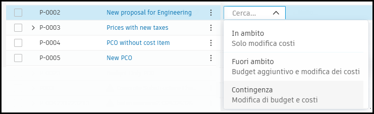PCO and cost item scope customization