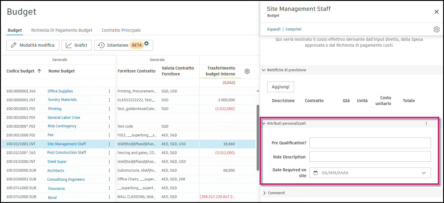 Details panel showing Custom Attributes section with multiple attribute fields for data entry