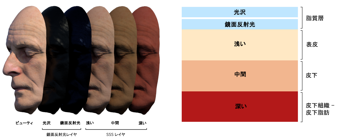 シェーディング 係数 安い