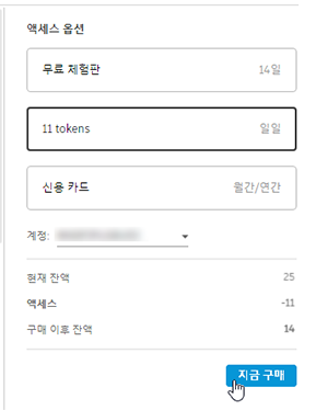 액세스 옵션 - 토큰
