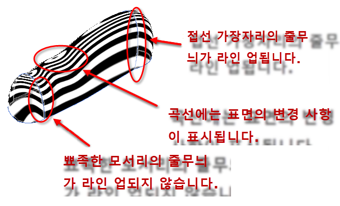 지브라 줄무늬 변환