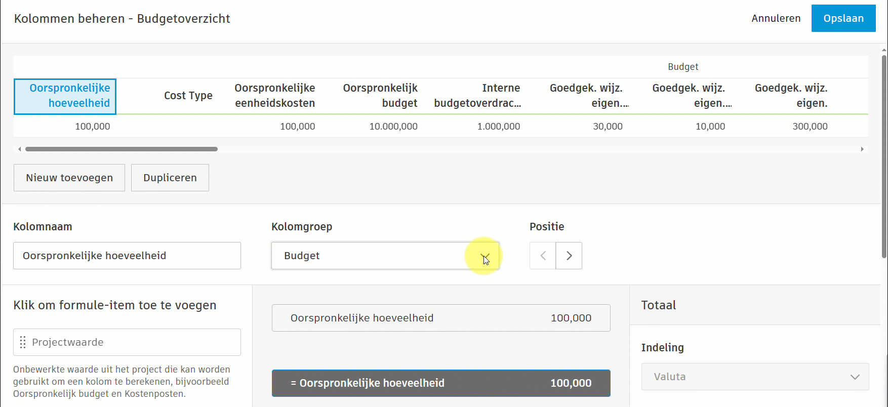 Beheer van kolommen met budgetoverzicht