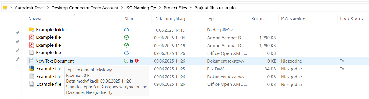 Eksplorator plików standardów nazewnictwa