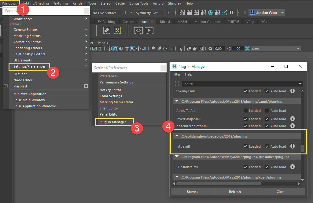 Arnold errors when launching program after updating Maya