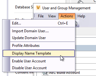 How to use or update the Display Name in Vault Professional?