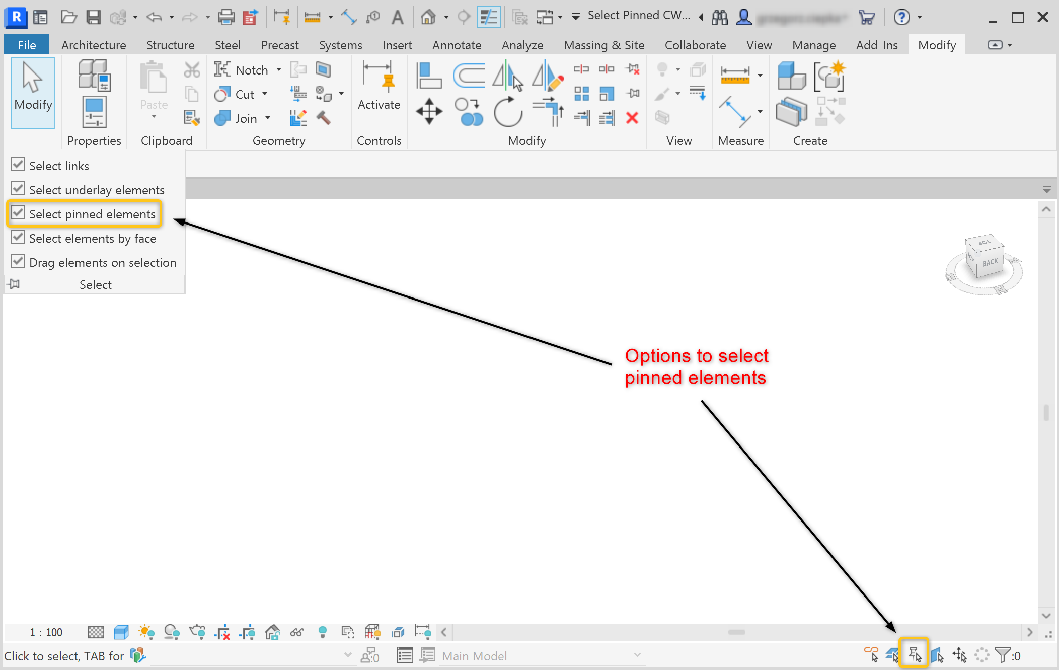 cannot-select-pinned-views-and-elements-in-revit