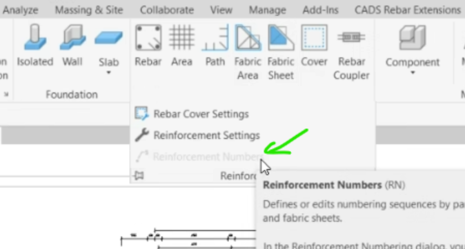 The Reinforcement Numbers function is grayed out in Revit