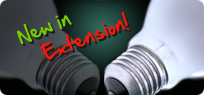 What's New in Maya LT Extension 1