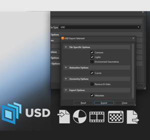 2025.1 USD Import/Export